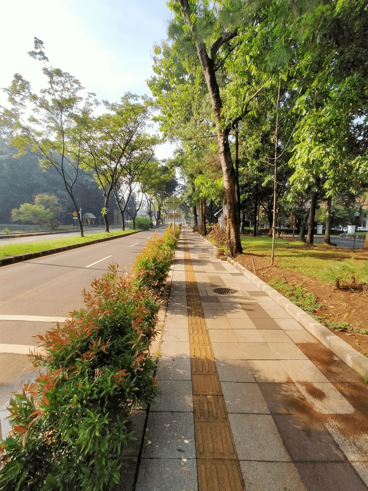 Pedestrian Streetscape